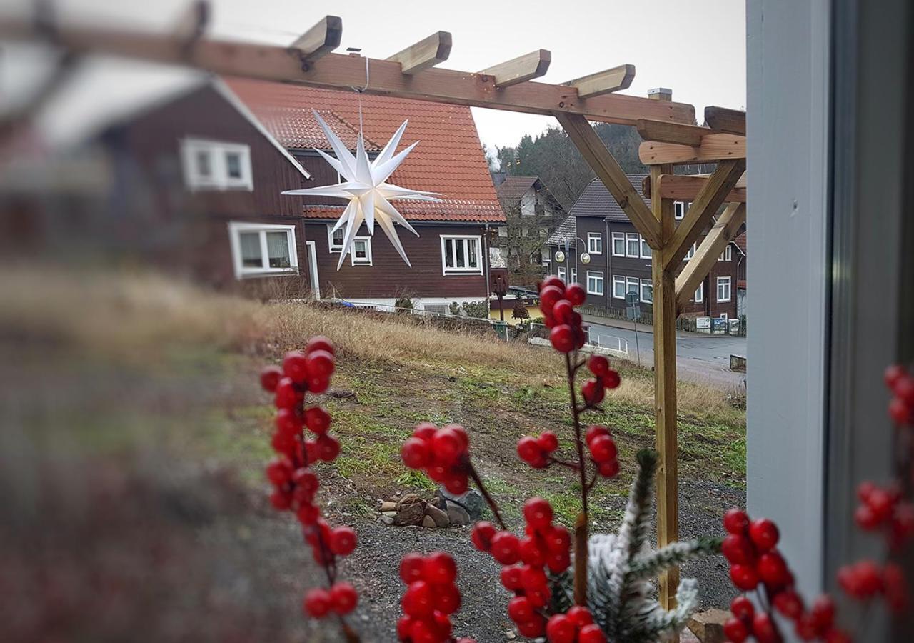 Apartmán Harzer Rabe Braunlage Exteriér fotografie